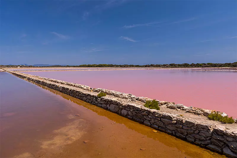 Descubriendo el Parque Natural de Ses Salines en Formentera