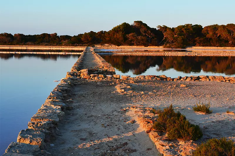 Explora la belleza del Estany Pudent de Formentera