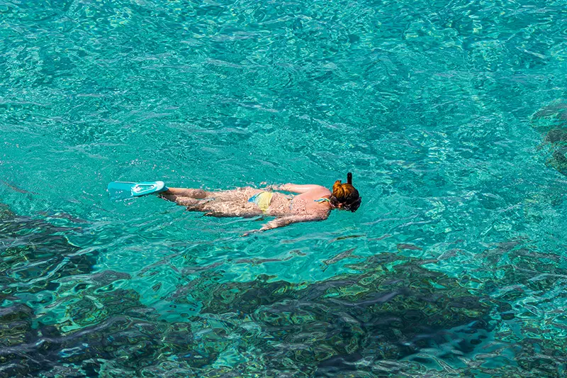 snorkel