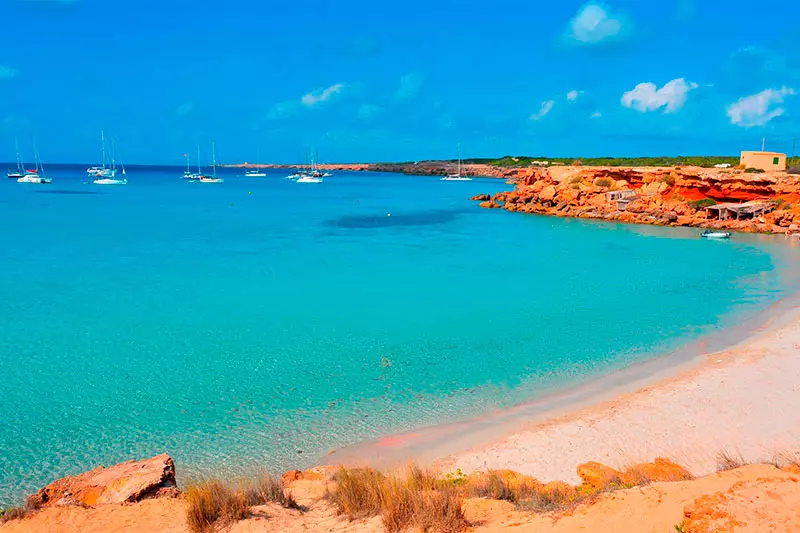 saona